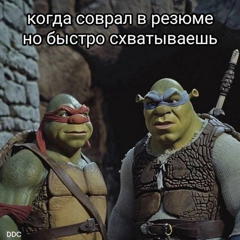 Мем «когда соврал в резюме, но быстро схватываешь» — пример из базы HR-напарника